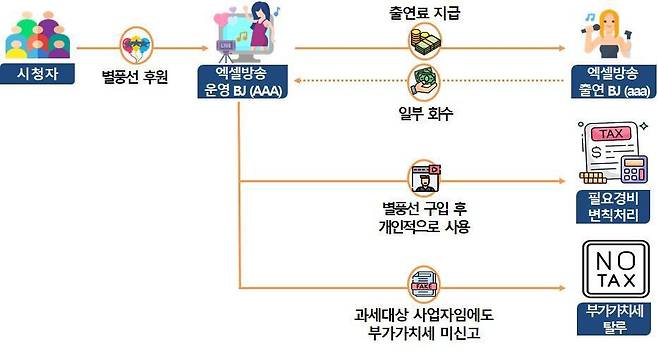 엑셀방송 운영 BJ 세금 탈루 사례. /뉴스1