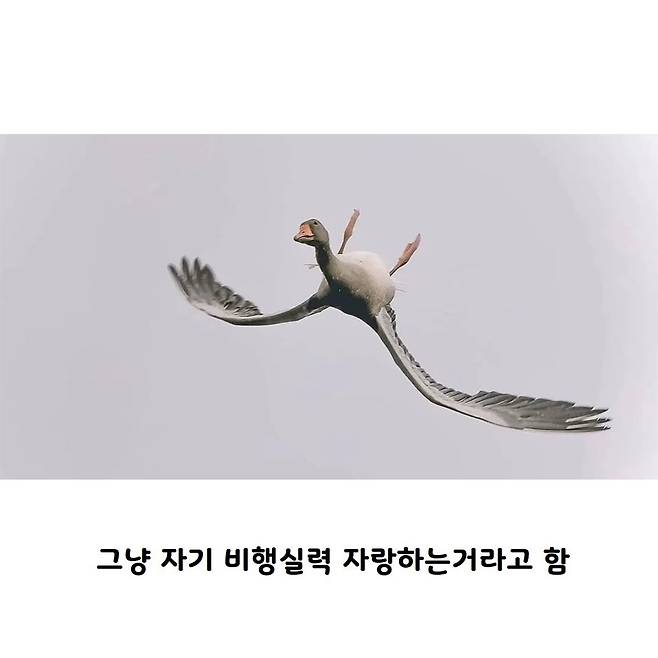 l_illililli_1423574294.jpg 비틱질은 모든 생물에게 본능이다