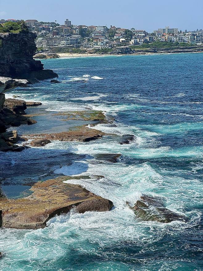 KakaoTalk_20250306_183226274.jpg [닉값여행] 시드니 6박8일 여행 2부 음식편 (스압주의)