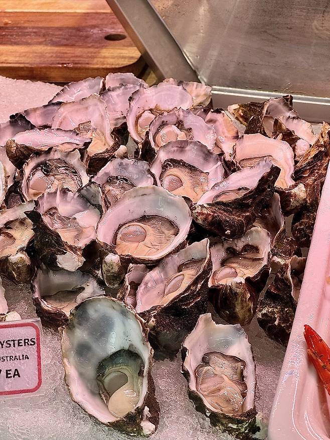 KakaoTalk_20231226_202347570_09.jpg [닉값여행] 시드니 6박8일 여행 2부 음식편 (스압주의)