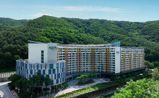 정선메이힐스리조트