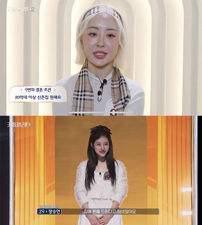 티브이데일리 포토