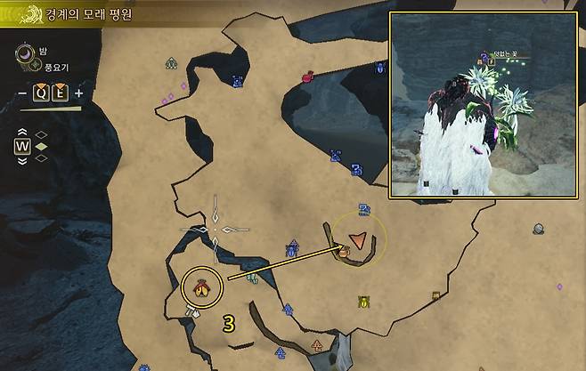 -&nbsp;구역 3 남부 덧없는 꽃 위치