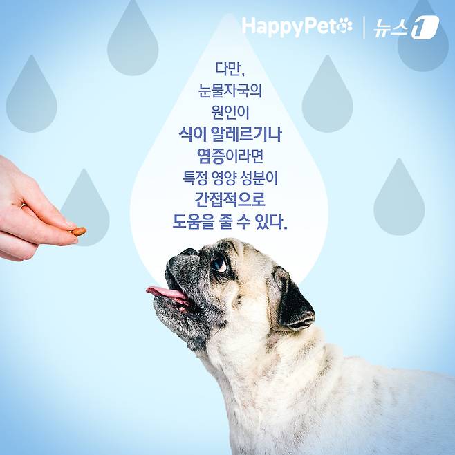 ⓒ News1 김초희 디자이너