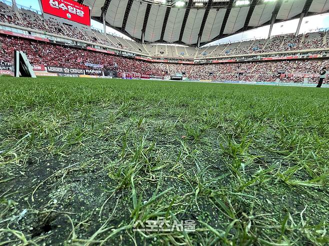 서울월드컵경기장의 잔디. 최승섭기자 thunder@sportsseoul.com