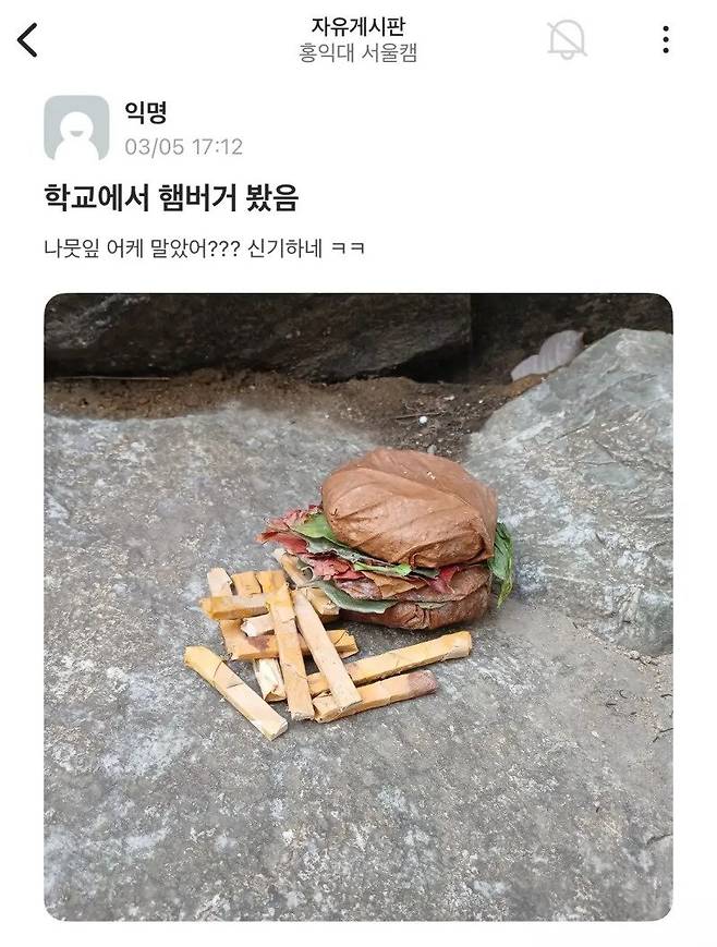 thumb_crop_resize.webp.ren.jpg 에타에 올라온 나뭇잎 부기