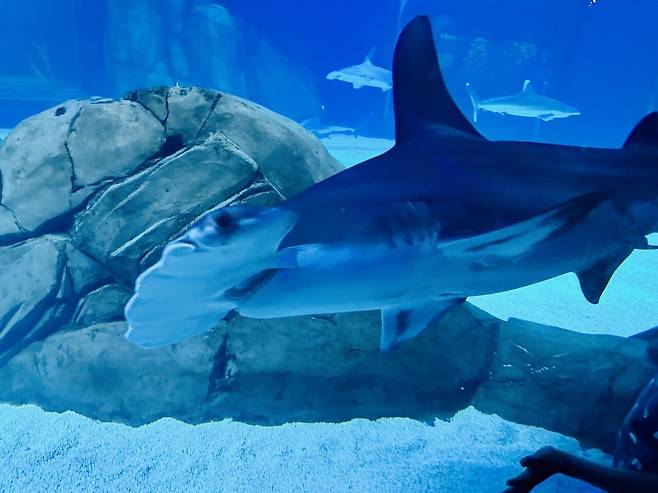 KakaoTalk_20250307_055007842.jpg [여행기]44일간 미국여행 32~33 / 애틀란타