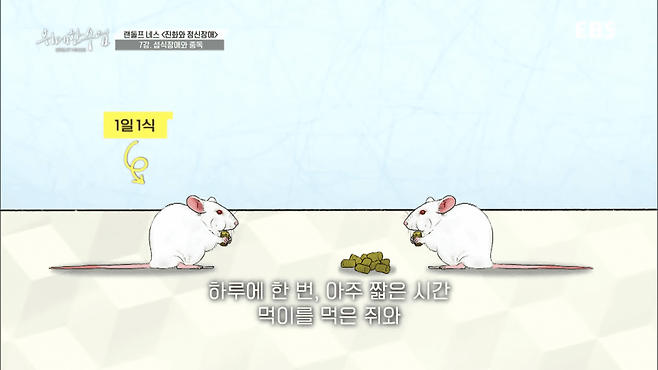 굶는 다이어트가 살찌는 이유.