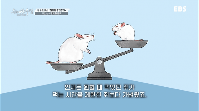 굶는 다이어트가 살찌는 이유.