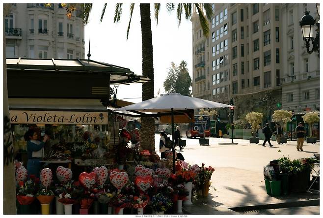 DSC_6103.jpg (고봉밥) 스페인-독일-이탈리아 A컷 사진 모음