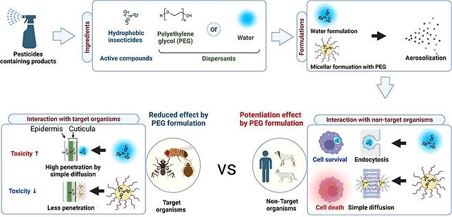 부형제 혼합에 의한 독성영향 변화를 나타낸 모식도.[안전성평가연구소 제공]