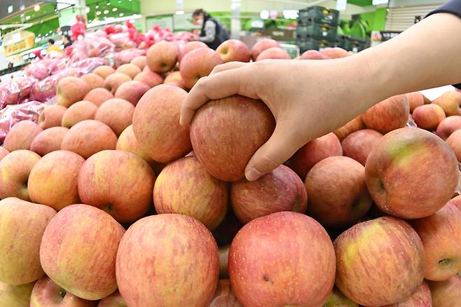 서울 서초구 하나로마트 양재점에서 한 시민이 사과를 살펴보고 있다. 임세준 기자