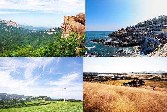 (윗줄 왼쪽부터 시계방향으로) 설악산, 해동 용궁사, 제주 새별오름, 대관령삼양목장. 이미지투데이