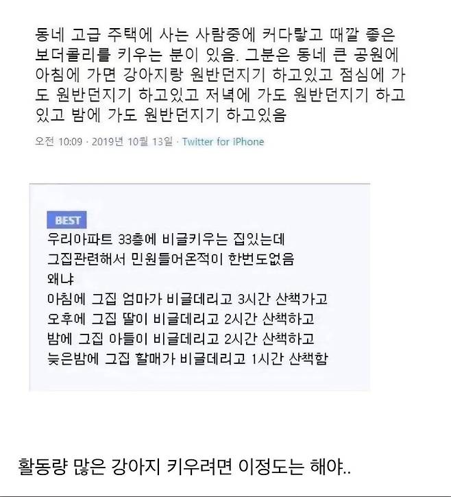 아파트 33층에서 비글 키우면서 민원 안받는 방법