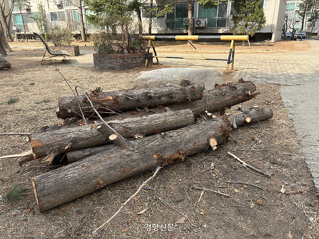 7일 오전 서울 마포구 한 대단지 아파트 화단에 잘린 나무 기둥들이 놓여 있다. 오경민 기자