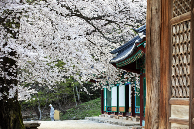 전남 무안 내소사. 한국불교문화사업단