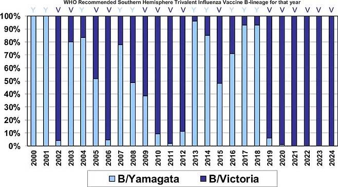 호주 멜버른 WHO 독감 센터에 제출된 호주의 2000~2024년 B형 독감 계통 비율 [npj 백신 저널 캡처. 재판매 및 DB 금지]