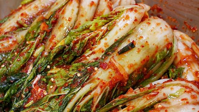 얼갈이김치 담그는법