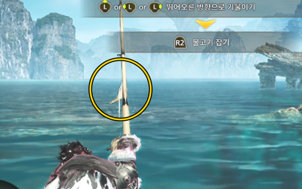 - 물고기가 뛰어오를 때 방향을 보고 판단한다&nbsp;