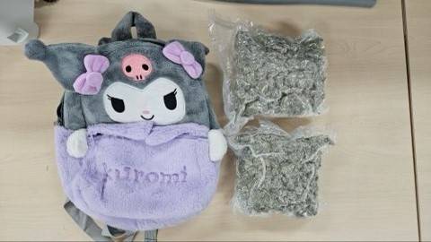 ▲ 인형 속 은닉한 대마초 [광주본부세관]