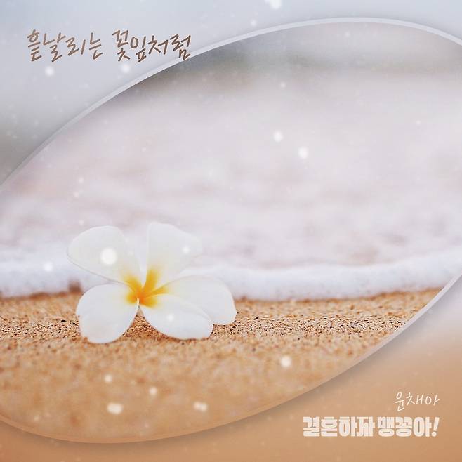 윤채아 / 사진=나인원 나인뮤직