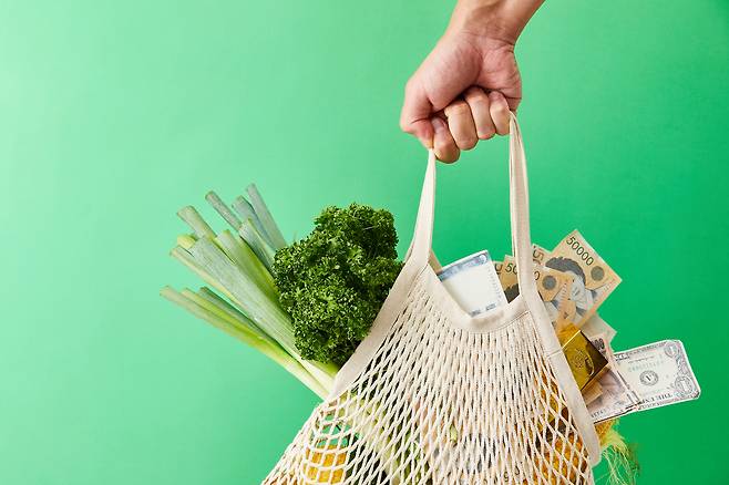 우리나라 청년 가구의&nbsp;월평균 생활비는&nbsp;213만원이라는 정부 조사 결과가 나왔다. 게티이미지뱅크