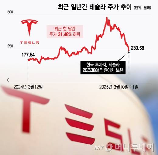 최근 일년간 테슬라 주가 추이. /그래픽=윤선정 디자인기자