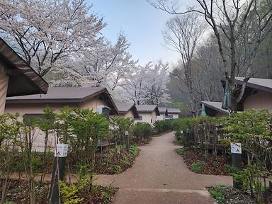 소백산삼가야영장 사진