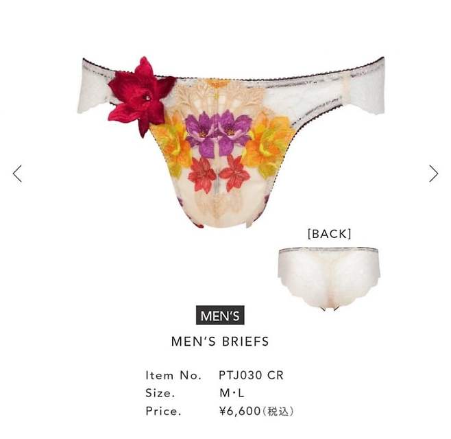 IMG_1286.jpeg 일본 고급 속옷 근황