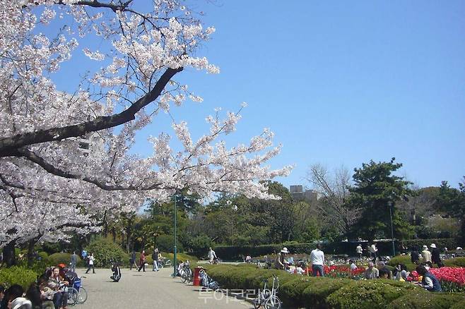 나고야의 쓰루마 공원, 일본 /사진 제공-호텔스닷컴
