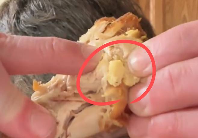 치킨 속에서 발견된 노란색 이물질.[틱톡 Morgan Godwin 채널 갈무리]