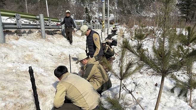 양서류 구조 활동 [오대산국립공원사무소 제공. 재판매 및 DB 금지]