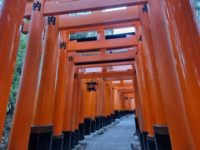 3fb8c32fffd711ab6fb8d38a4383746fc583531627b934ace3b241f3dd5682c2357a7cd35f10052f827184a0