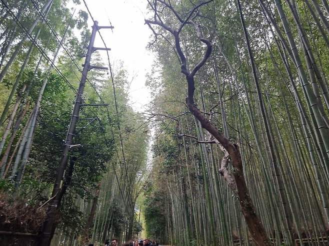 3fb8c32fffd711ab6fb8d38a4489766d8e6eb8b0f43242b6c86dffaae2534247d306f3be08bed1b87c7bb6ec7f