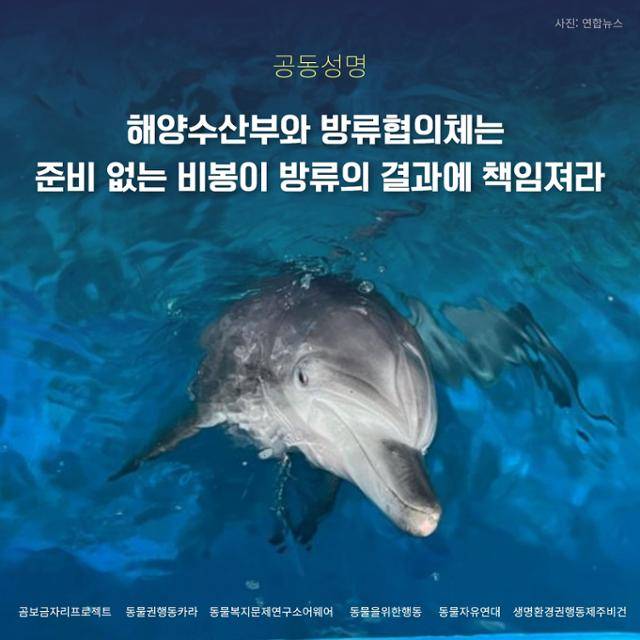 6개 동물단체는 2023년 10월 비봉이 방류 1주년을 맞아 공동성명을 내고 비봉이를 무리하게 방류한 방류협의체에 방류 과정을 공개할 것을 요구했다. 6개 단체 제공