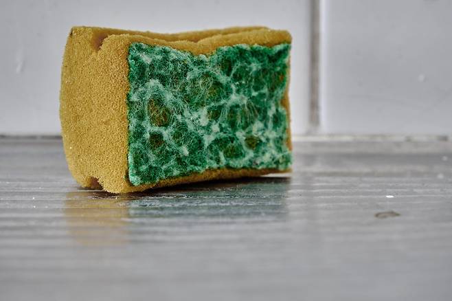 당신의 주방 수세미에 있는 구멍과 헤어진 섬유들은 미생물들이 숨고 번식할 수 있는 많은 공간을 제공한다