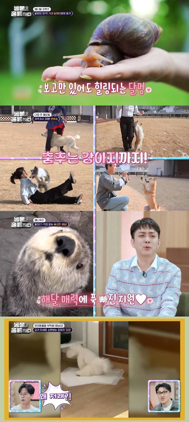 ‘동물은 훌륭하다’ (제공: KBS2)