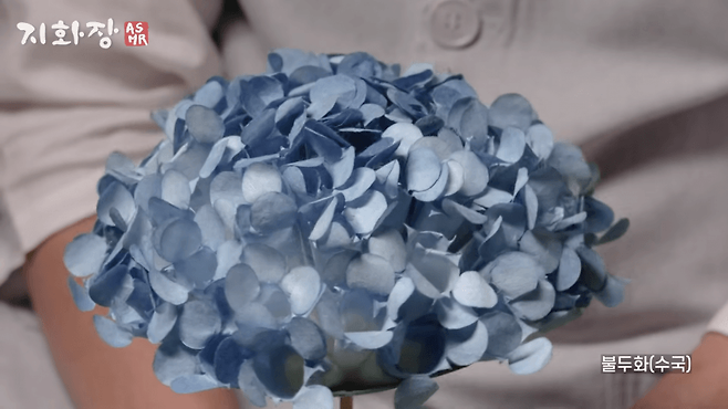 2cbb8522b3826ff368e68fe210d2256a72cccabc365144e4b4bcb7ef336256158763c6f1d71402c2bb096996531636fe66fc0cc79e9d29ad6a