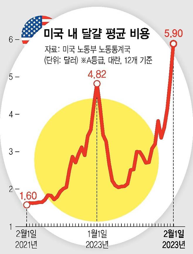 미국 달걀 가격
