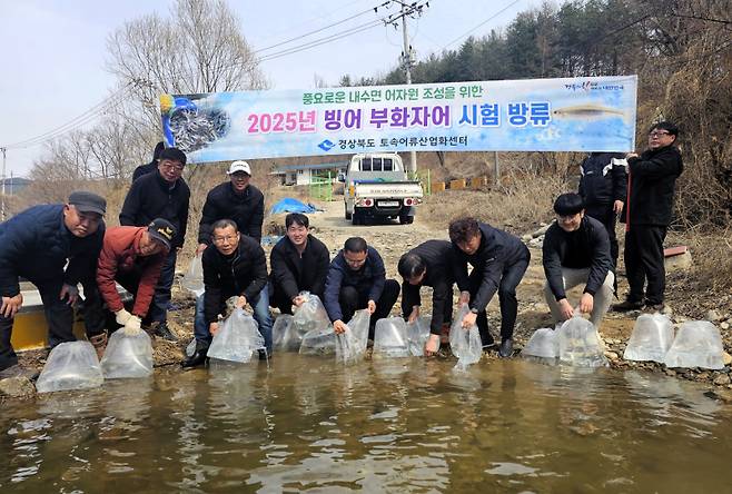 경북도 수산자원연구원 토속어류산업화센터가 문경시 경천호에서 빙어 400만 마리를 방류하고 있다. 경북도 제공.