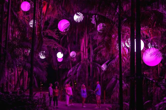 호주 골드코스트 대표 명소 ‘커럼빈 와일드라이프 생츄어리’에서 새롭게 공개한 ‘아스트라 루미나 골드코스트’ / 사진=퀸즐랜드주 관광청