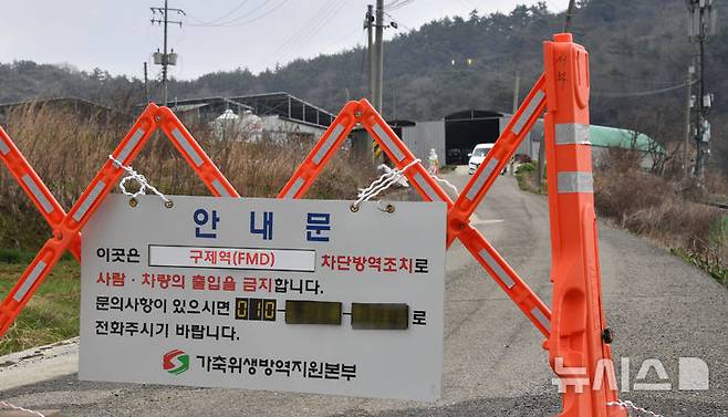 [무안=뉴시스] 변재훈 기자 = 16일 오전 전남 무안군 일로읍 소재 구제역 발생 소 사육농장에서 방역 당국이 출입을 통제하고 있다. 2025.03.16. wisdom21@newsis.com