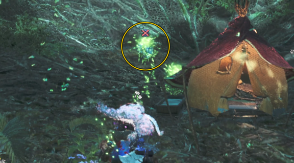 - 두 번째 덧없는 꽃은 구역 18&nbsp;나무 위 고지대 간이 캠프 바로 뒤에 있다&nbsp;