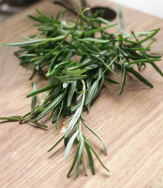 로즈마리 사진 출처=픽사베이