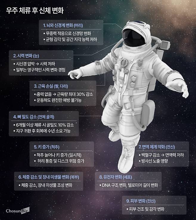 그래픽=정서희