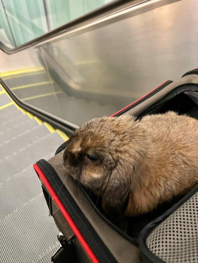 7deaf670b18a6ff723eef4ed409c701c09194ba4d7877a101bf5a34fe02c9c5f8ca607334fc3005aa49e1e6630c1a5a3c6285896