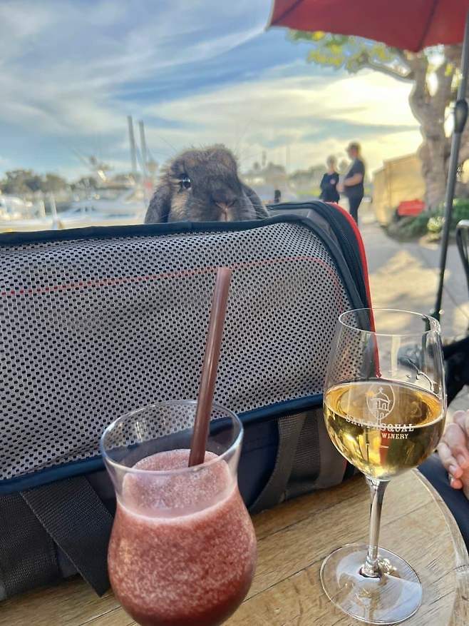 0e9ef575b2f71c8423e68494309c706e26ccb133161d2fea14fb7ef0c2b58956f63a7f2d3a4276ba2f6525be18615429731968fe