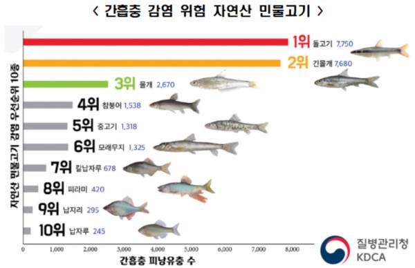 간흡충 감염 위험 자연산 민물고기 목록. [사진 출처 = 질병관리청]