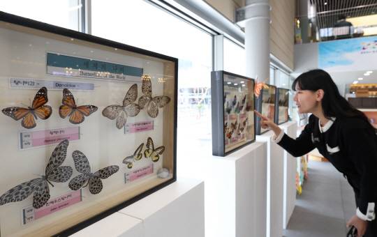 서울 노원구청 로비에서 한 주민이 전시된 작품을  관람하고 있다. 노원구청 제공