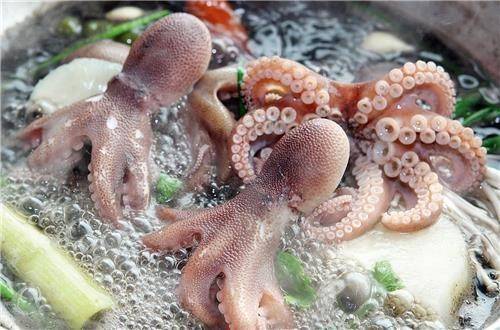 주꾸미 샤부샤부 [보령시 제공. 재판매 및 DB 금지]